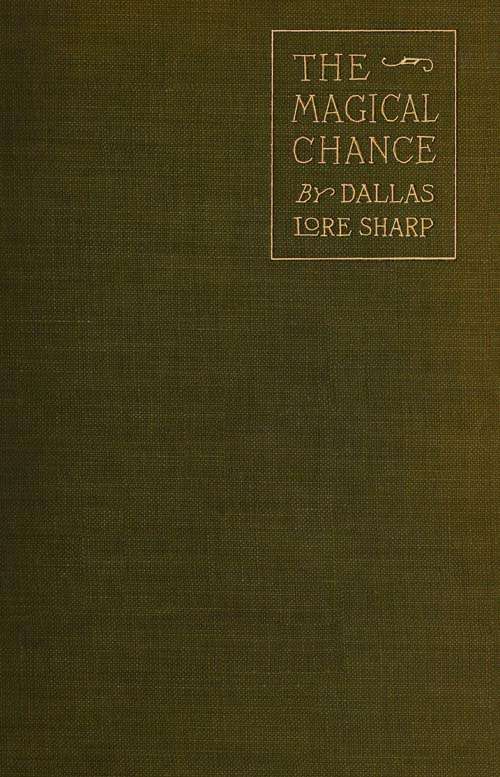 The Magical Chance cover