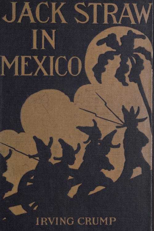 Jack Straw in Mexico: How the Engineers Defended the Great Hydro-Electric Plant cover
