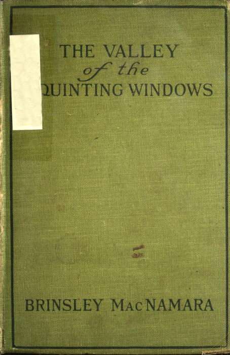The Valley of Squinting Windows cover