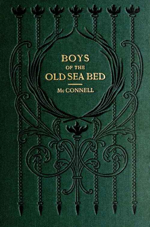 Boys of the Old Sea Bed: Tales of Nature and Adventure cover