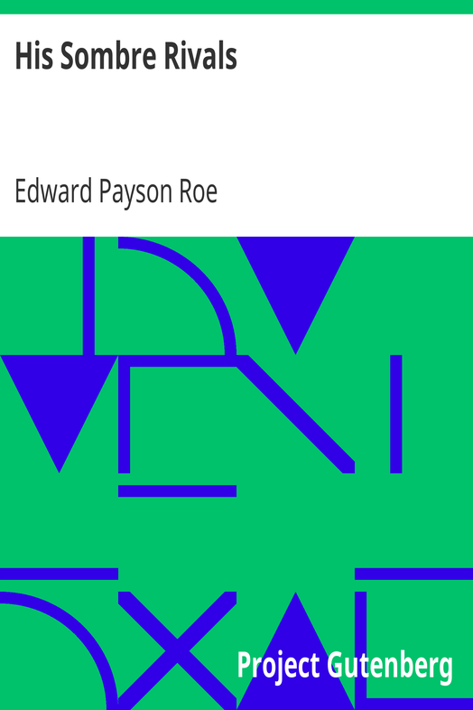 His Sombre Rivals cover