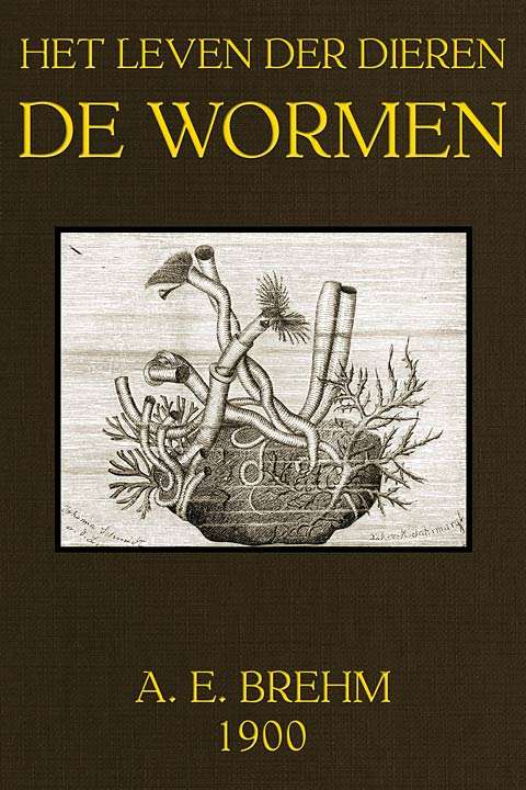 Het Leven der Dieren, Deel 3, Hoofdstuk 6: De Wormen cover