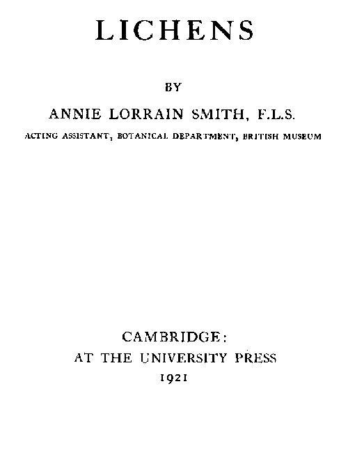 Lichens cover