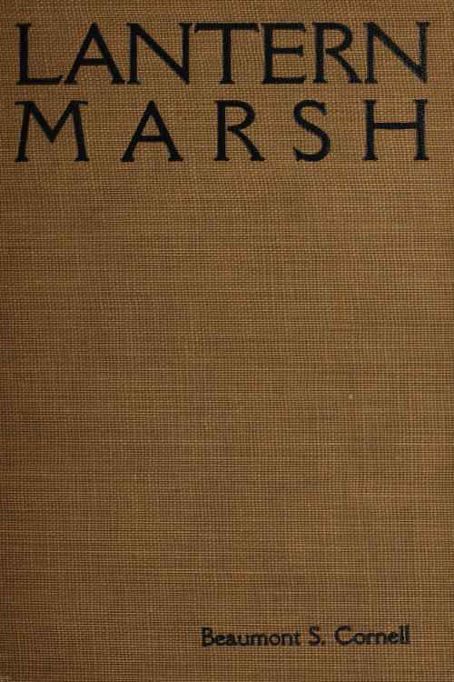 Lantern Marsh cover
