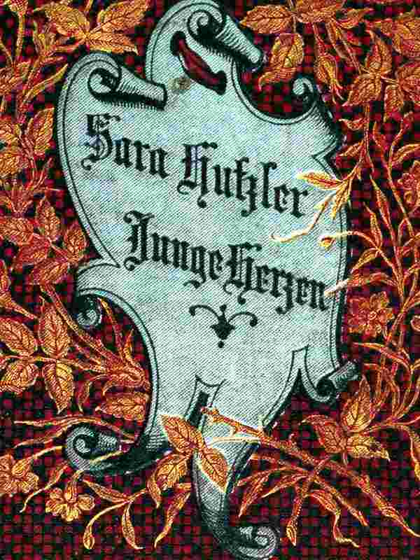 Junge Herzen: Erzählungen für die reifere Jugend cover