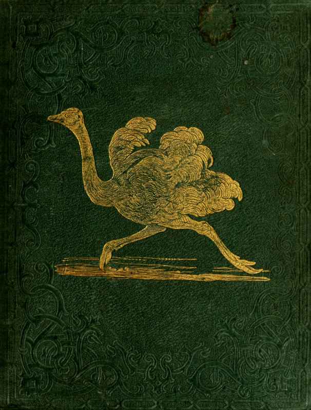 Tales About Birds, Illustrative of Their Nature, Habits, and Instincts cover