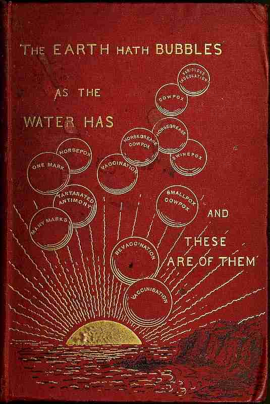 The Story of a Great Delusion in a Series of Matter-of-Fact Chapters cover