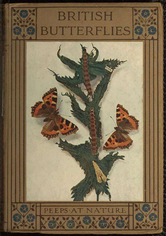 British Butterflies cover