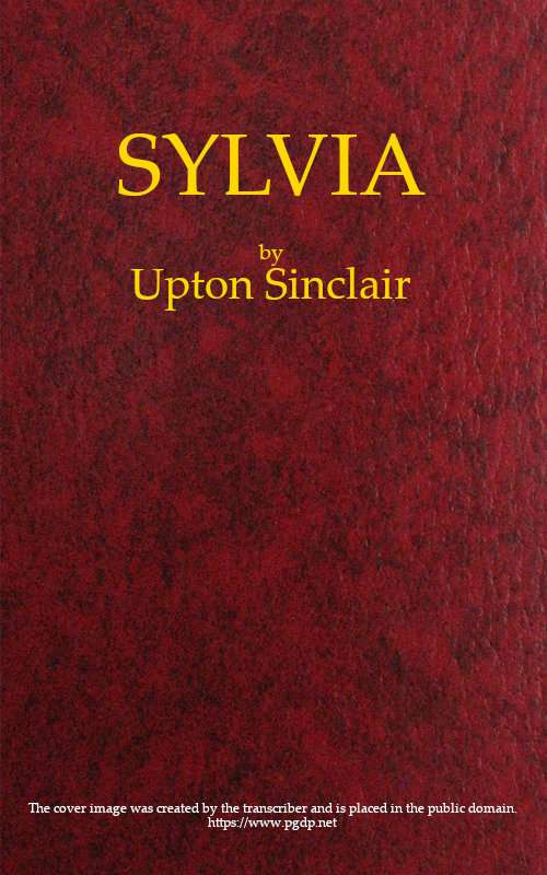 Sylvia: A Novel cover