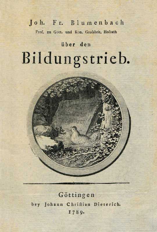 Über den Bildungstrieb cover