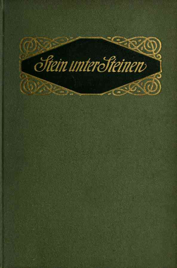Stein unter Steinen: Schauspiel in vier Akten cover
