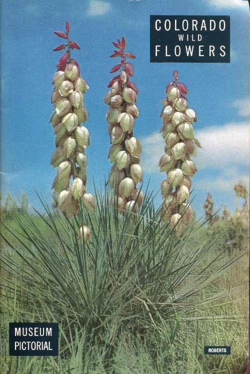 Colorado Wild Flowers cover