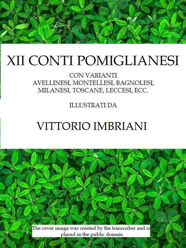 XII conti pomiglianesi / con varianti avellinesi, montellesi, bagnolesi, milanesi, toscane, ecc. cover