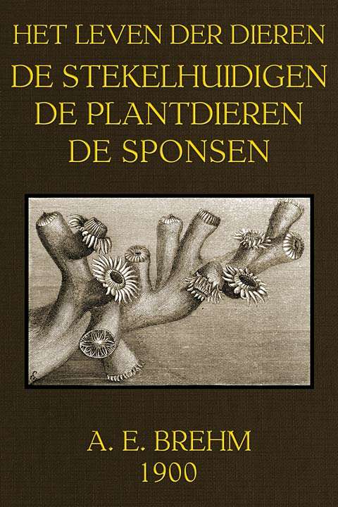 Het Leven der Dieren: Deel 3.8, De Stekelhuidigen, Plantdieren en Sponsen cover
