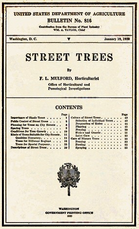 Street Trees cover
