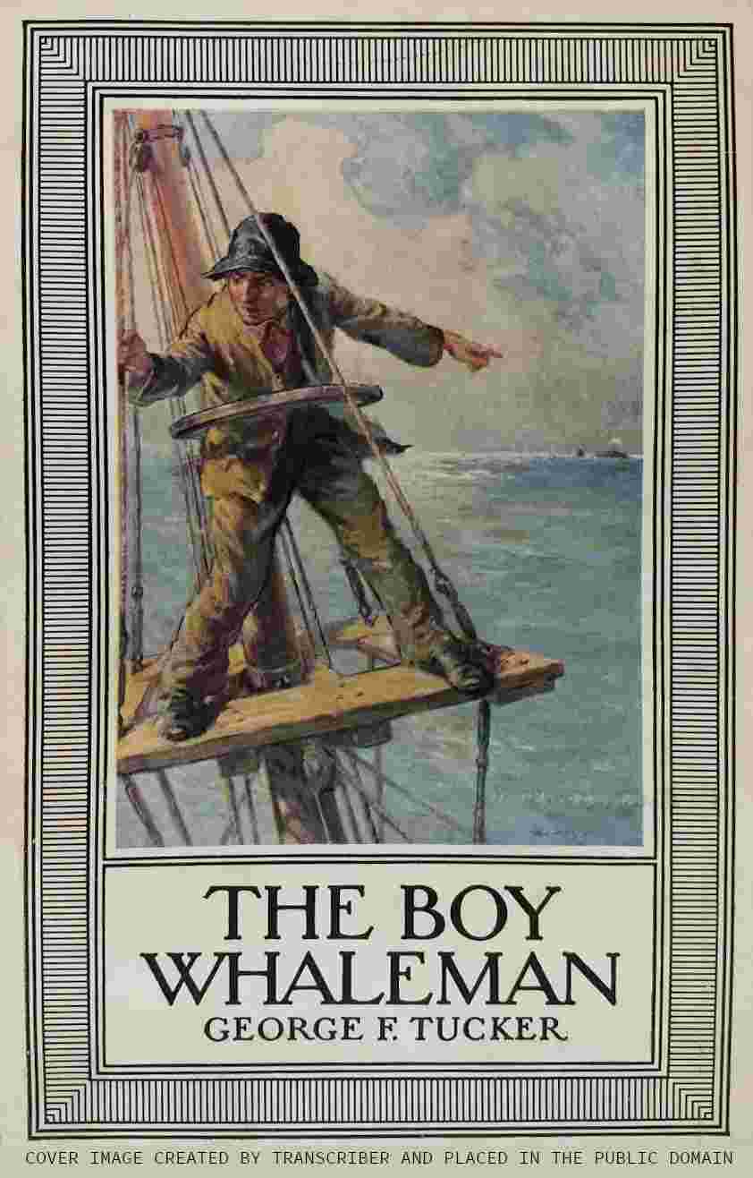 The Boy Whaleman cover