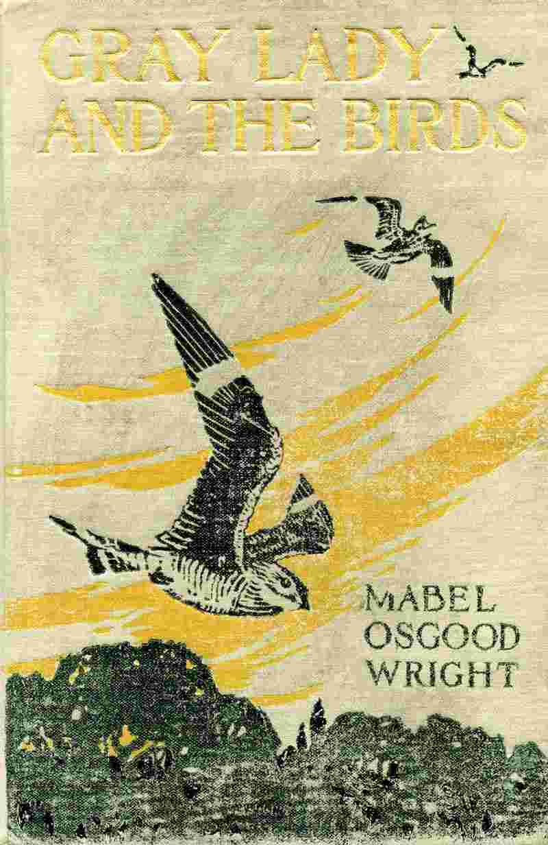 Gray Lady and the Birds: Stories of the Bird Year for Home and School cover