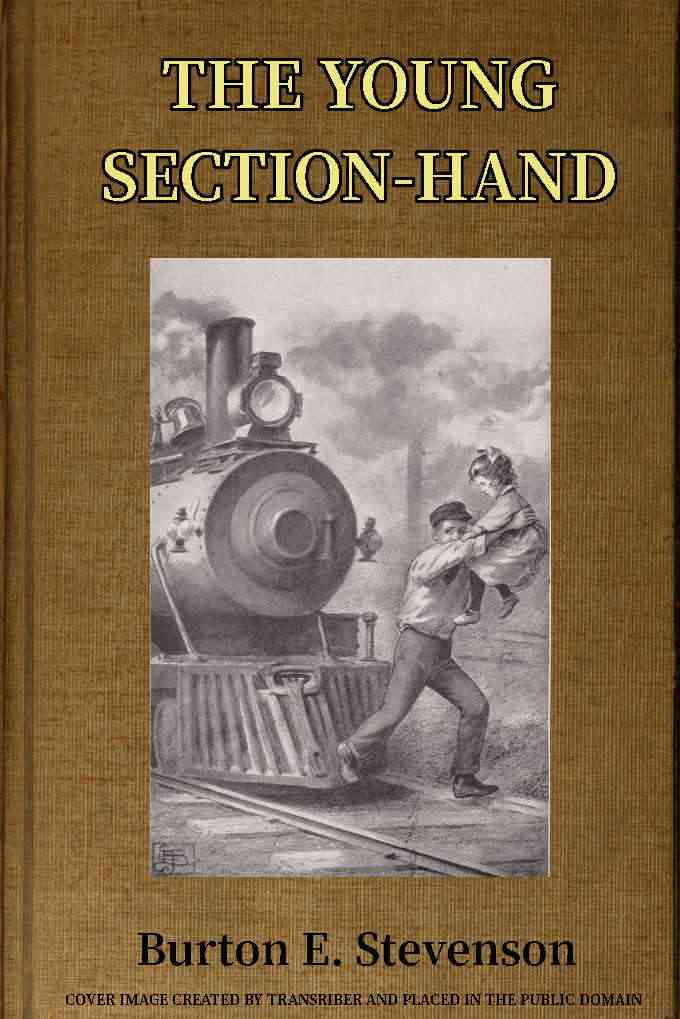 The Young Section-Hand cover
