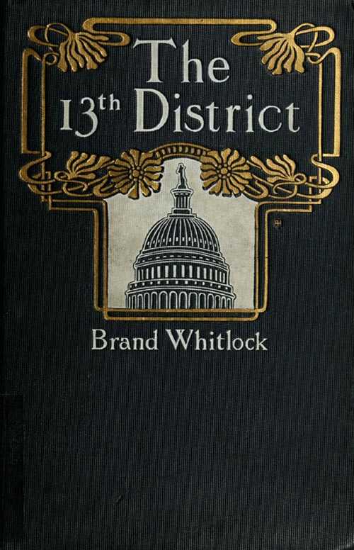 The 13th District: A Story of a Candidate cover