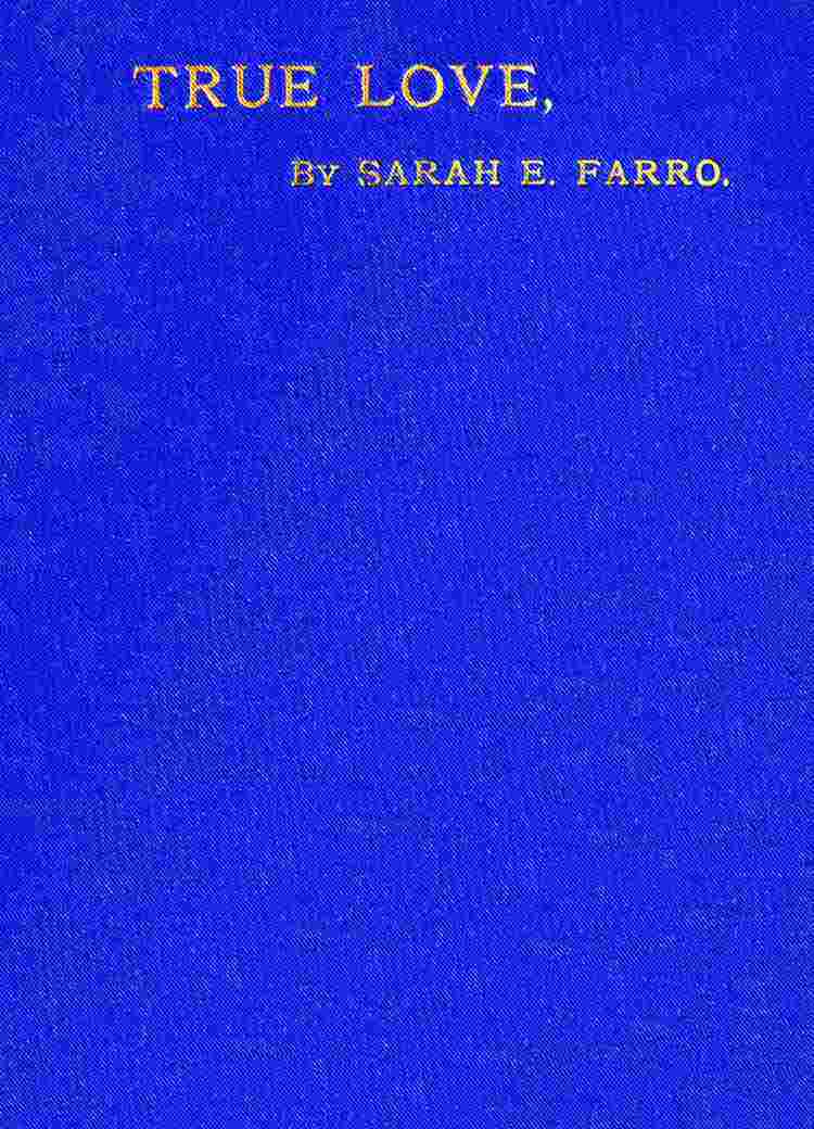 True Love: A Story of English Domestic Life cover