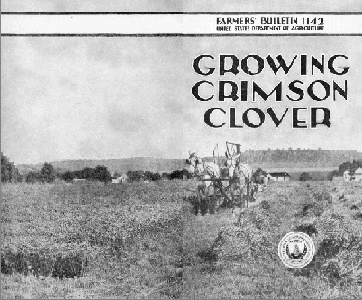Growing Crimson Clover cover