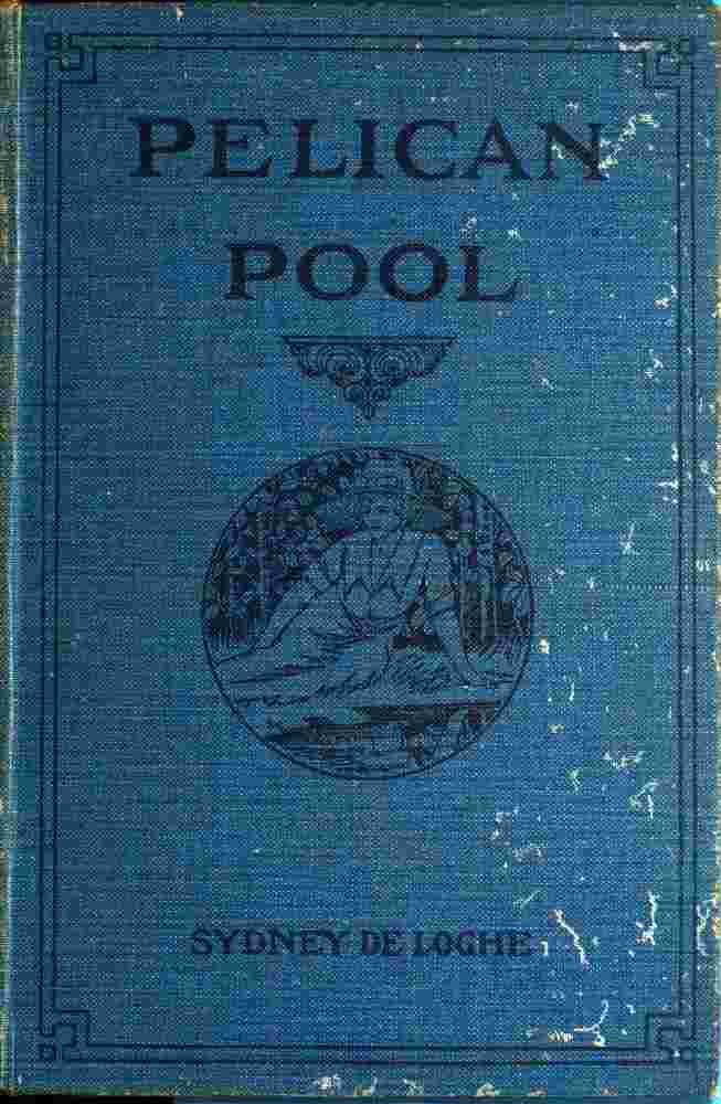 Pelican Pool: A Novel cover