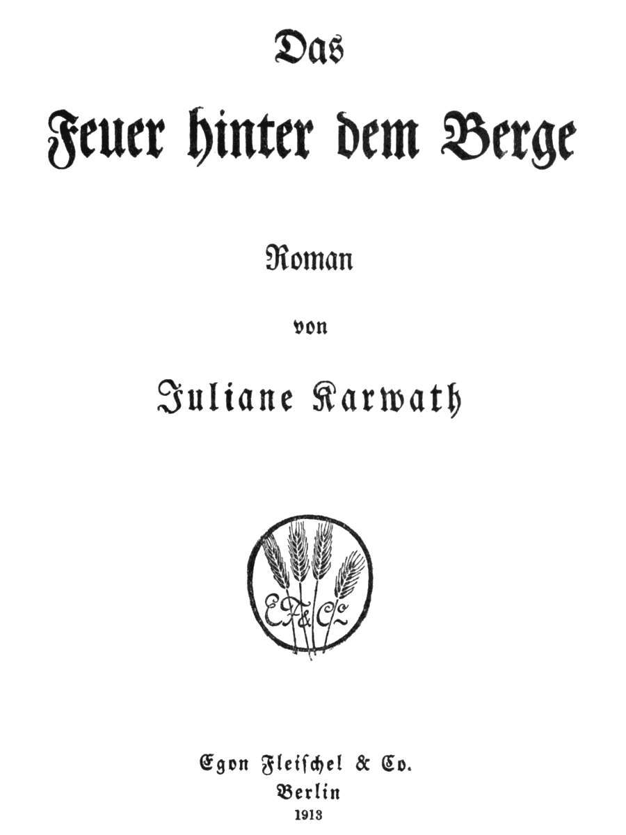 Das Feuer hinter dem Berge: Roman cover