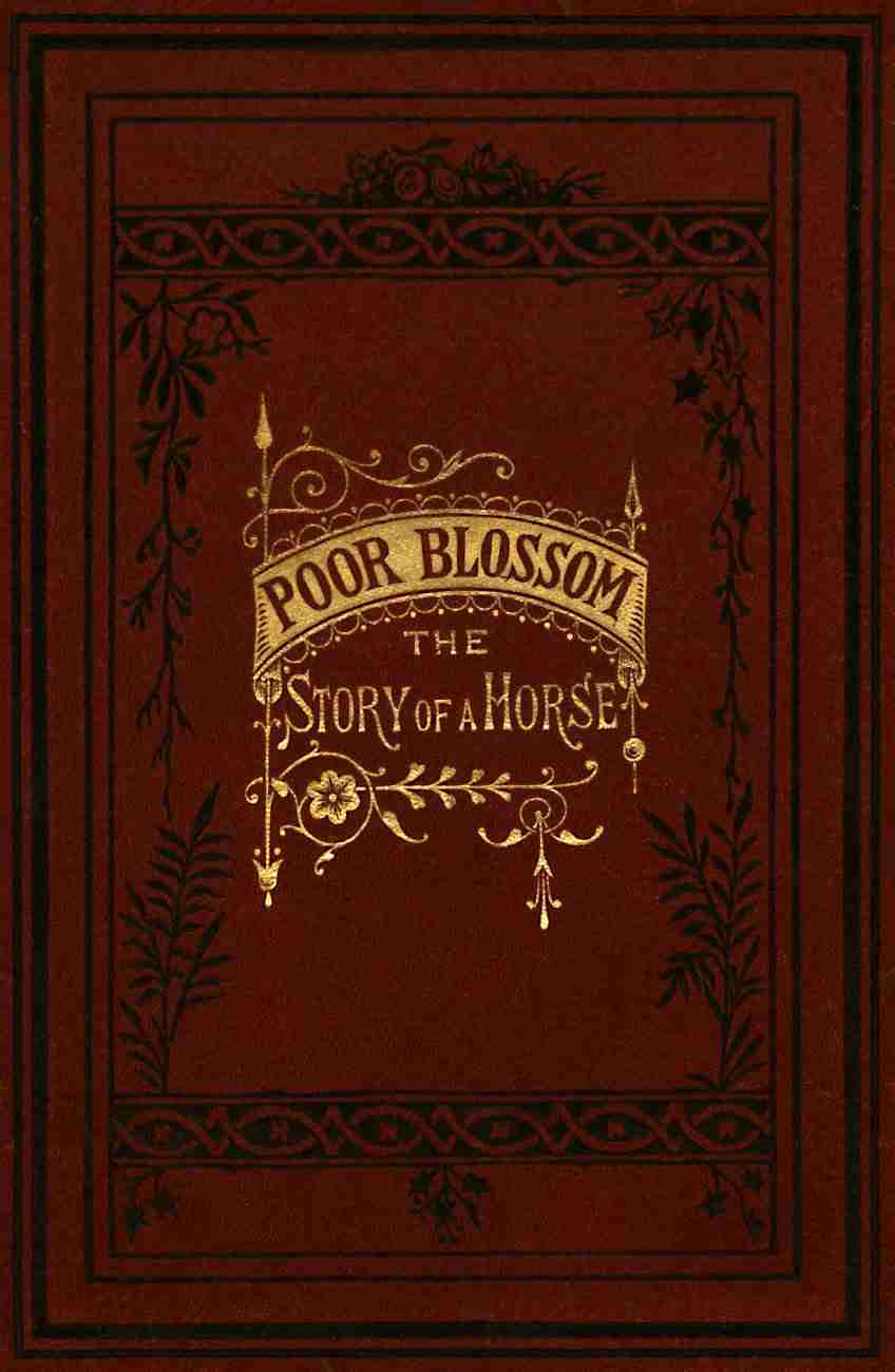 Poor Blossom: The Story of a Horse cover