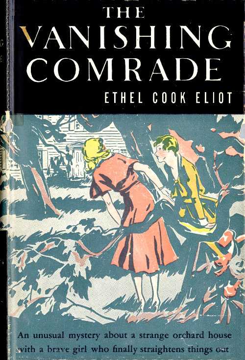 The Vanishing Comrade: A Mystery Story for Girls cover