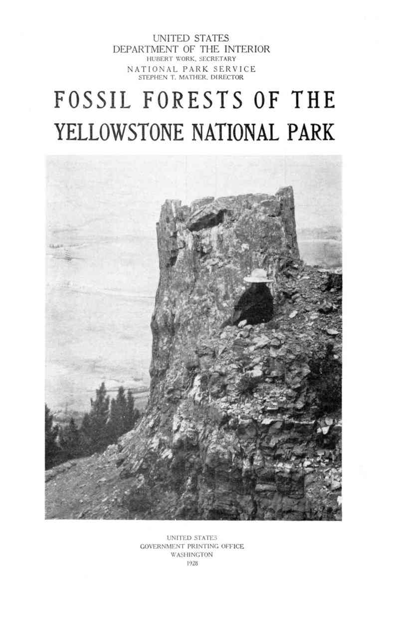 Fossil Forests of the Yellowstone National Park cover