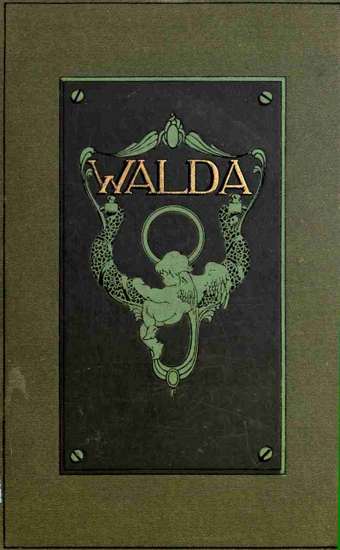 Walda: A Novel cover