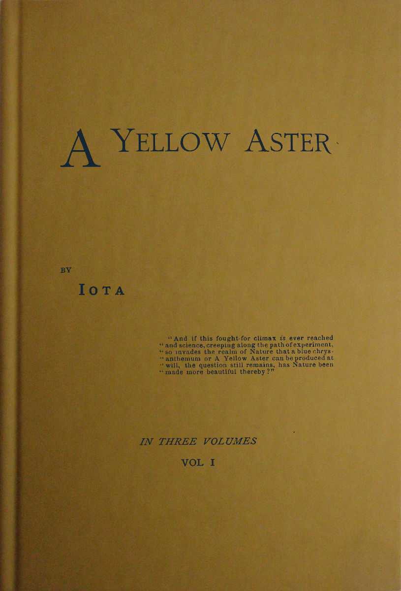 A Yellow Aster, Volume 1 (of 3) cover