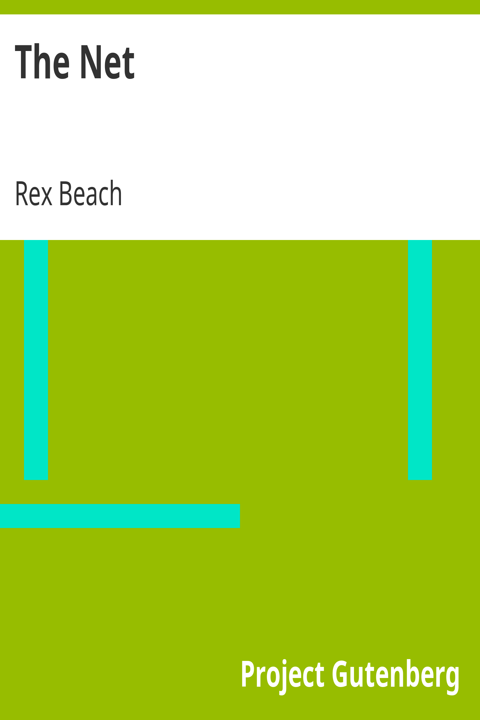 The Net cover