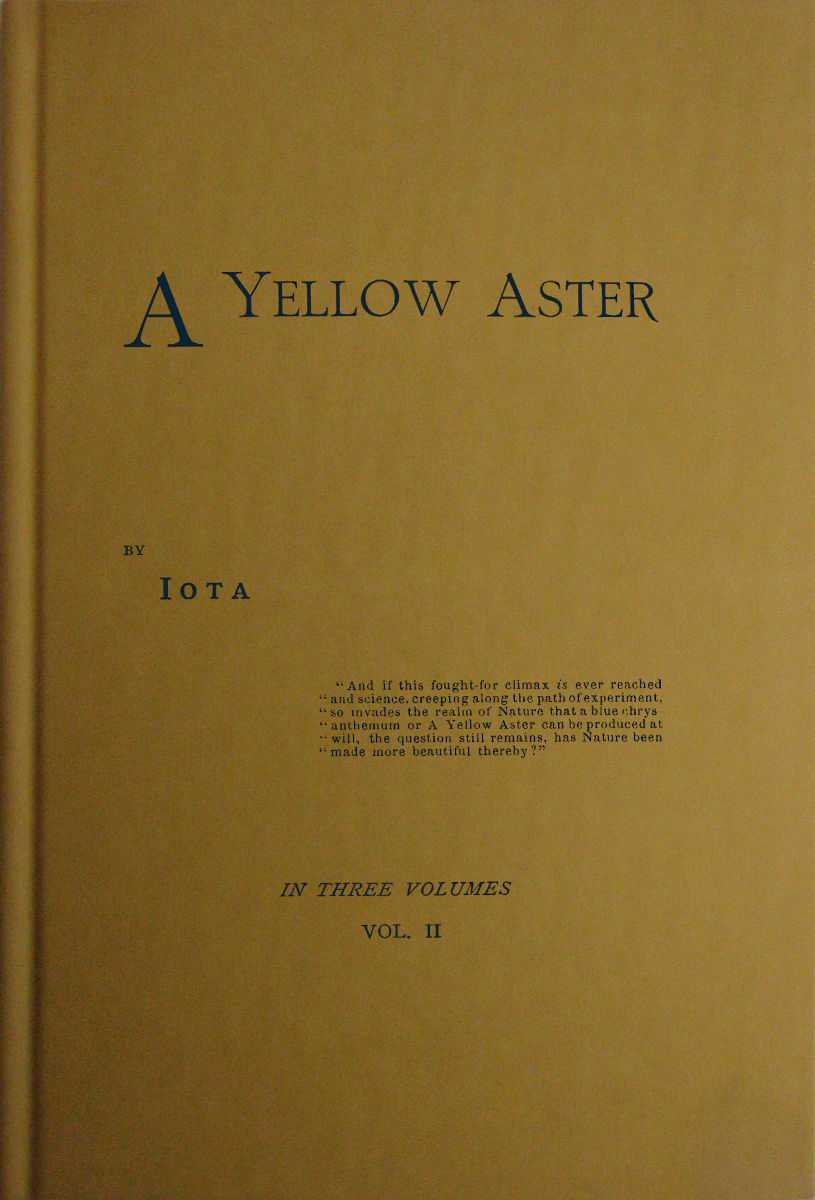 A Yellow Aster, Volume 2 (of 3) cover