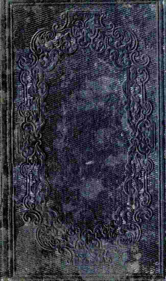 The Salem Belle: A Tale of 1692 cover
