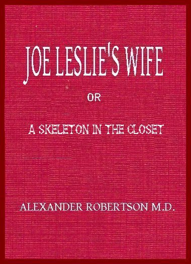 Joe Leslie's Wife; or, a Skeleton in the Closet cover