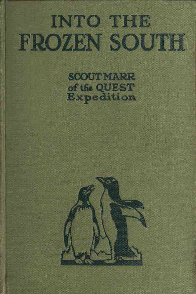 Into the Frozen South cover