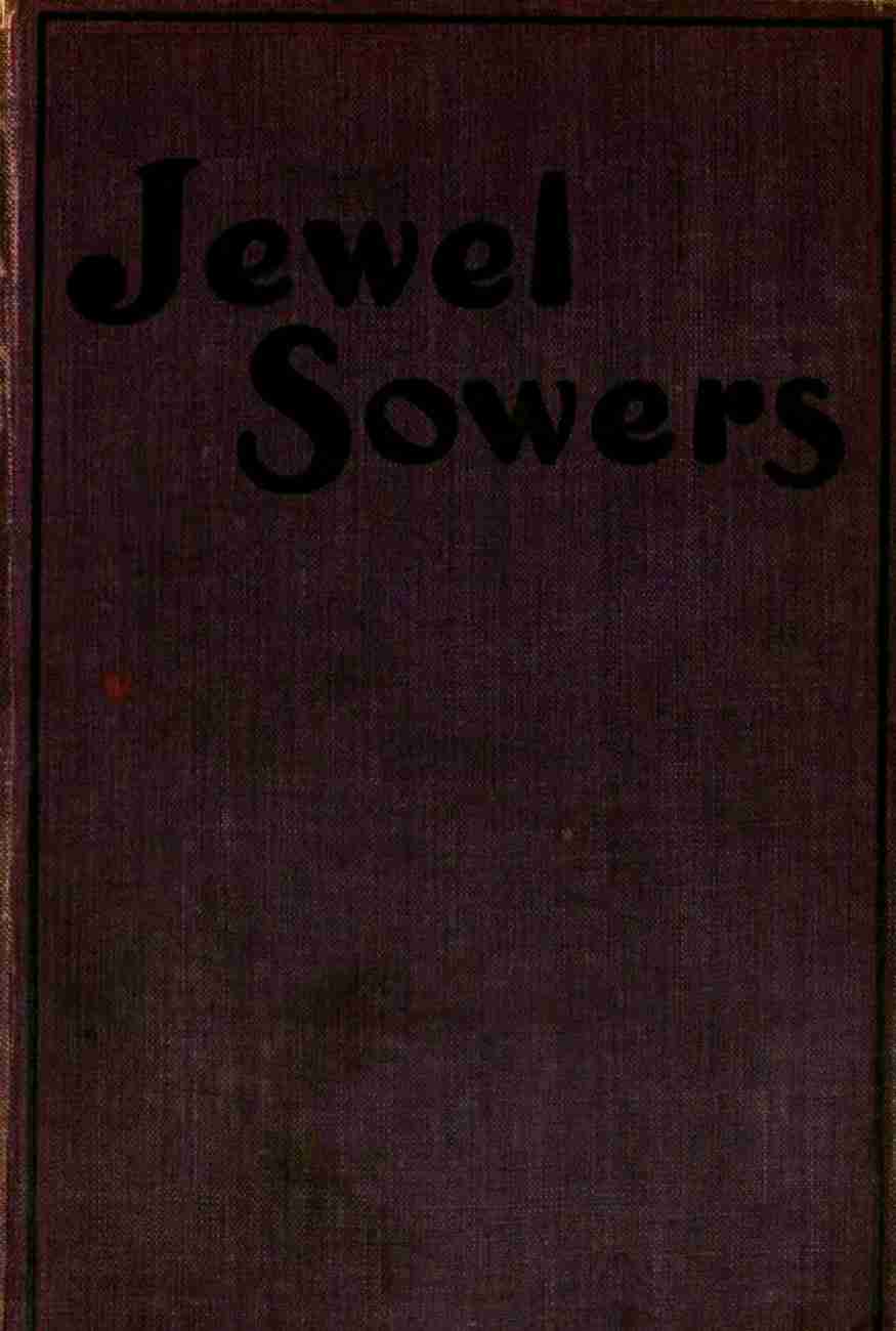 Jewel sowers: a novel cover