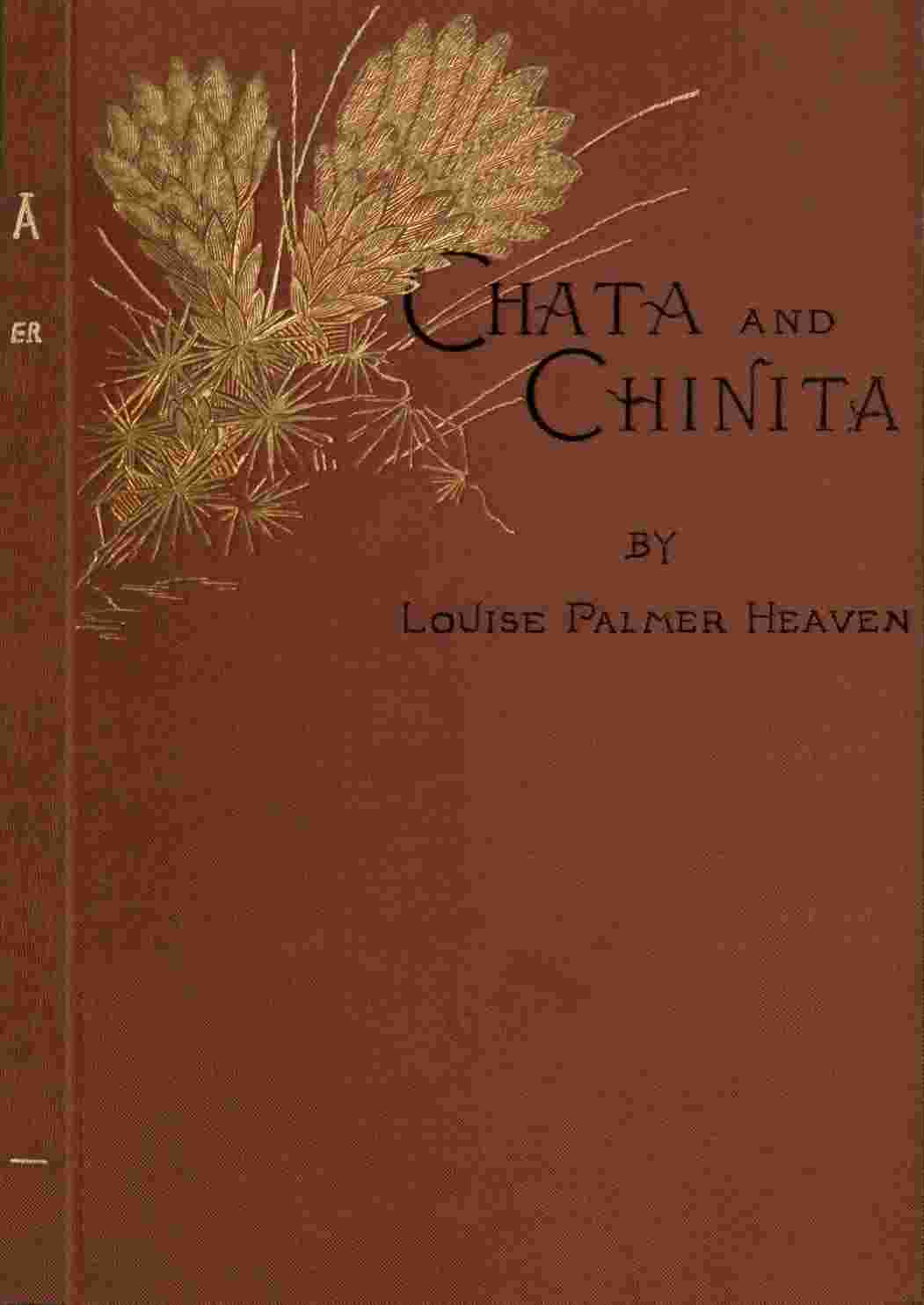Chata and Chinita: A Novel cover