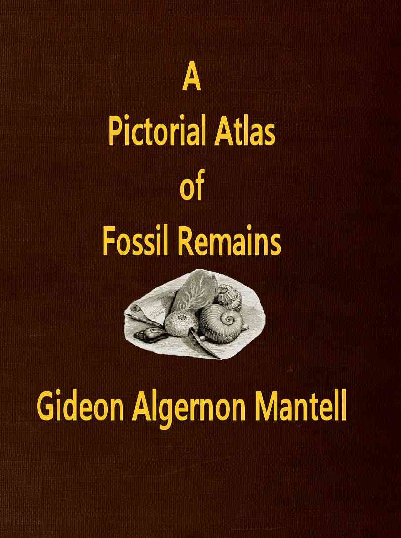 A Pictorial Atlas of Fossil Remains, consisting of coloured illustrations selected from Parkinson's "Organic remains of a former world," and Artis's "Antediluvian phytology." cover