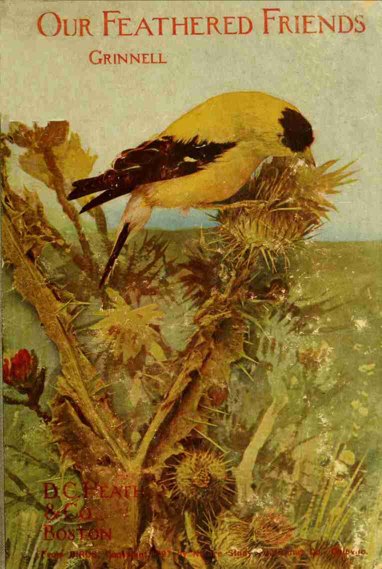Our Feathered Friends cover