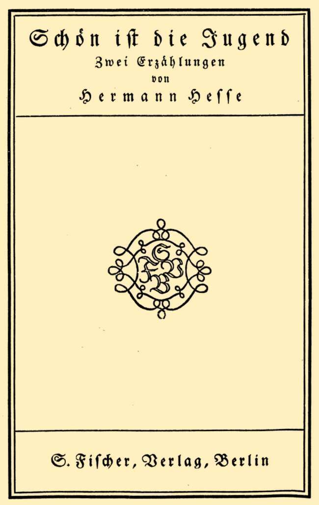 Schön ist die Jugend: Zwei Erzählungen cover
