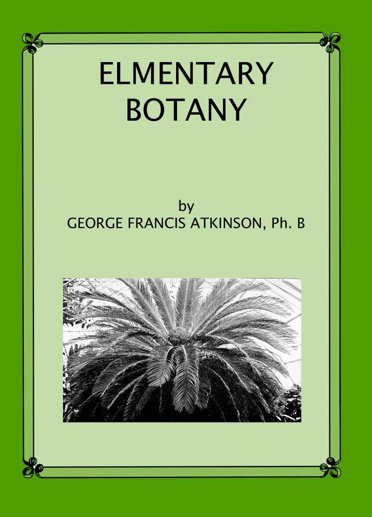 Elementary Botany cover