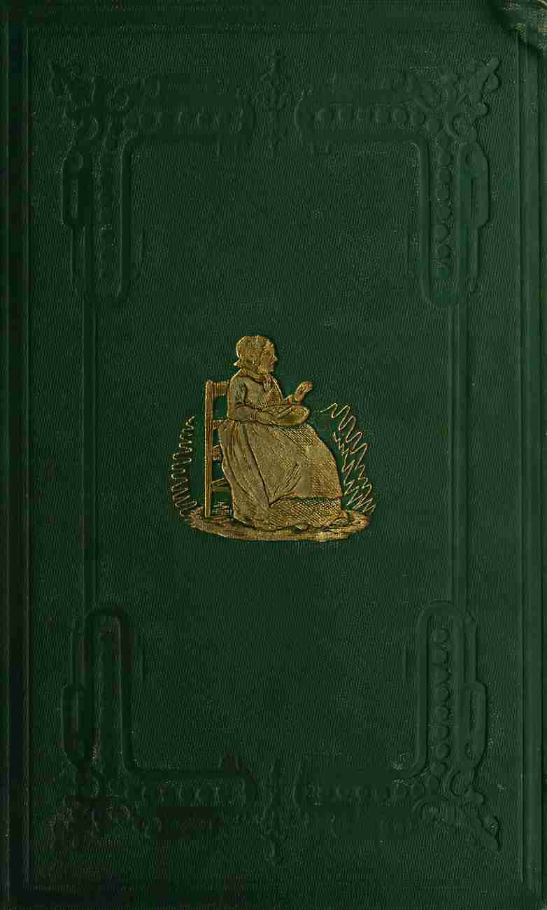 Josiah Allen's Wife as a P. A. and P. I.: Samantha at the Centennial. / Designed As a Bright and Shining Light, to Pierce the Fogs of Error and Injustice That Surround Society and Josiah, and to Bring More Clearly to View the Path That Leads Straight on to Virtue and Happiness. cover