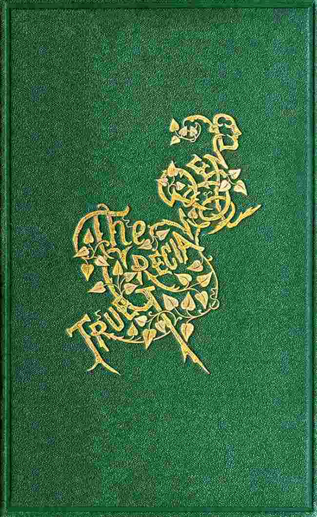 The True Grecian Bend: A Story in Verse cover