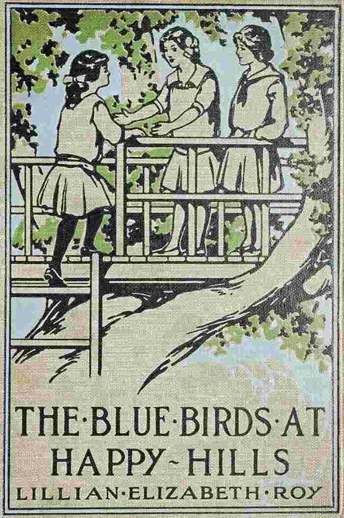 The Blue Birds at Happy Hills cover