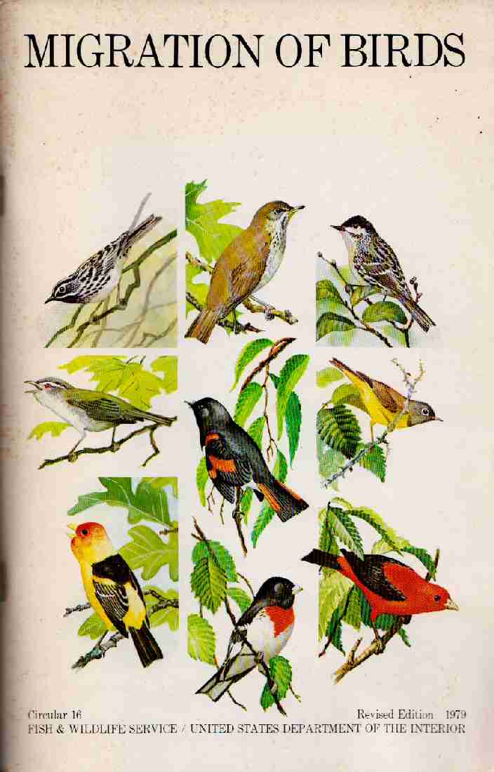 Migration of Birds (1979) cover