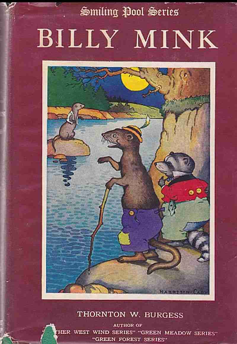 Billy Mink cover