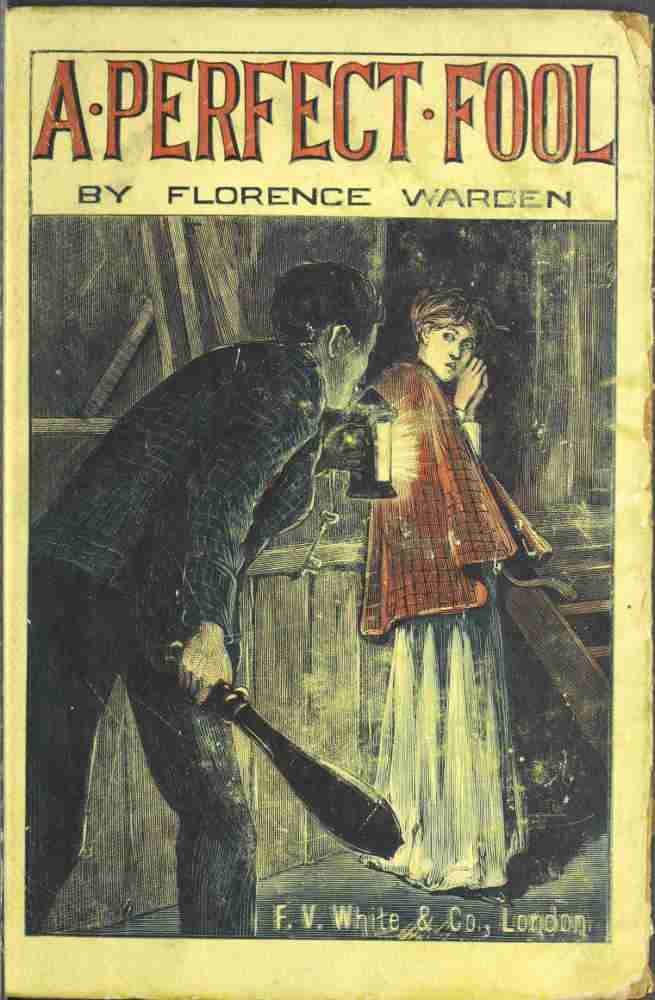 A Perfect Fool: A Novel cover
