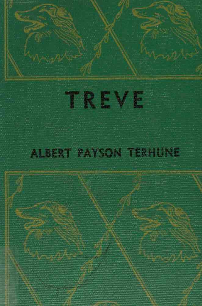 Treve cover